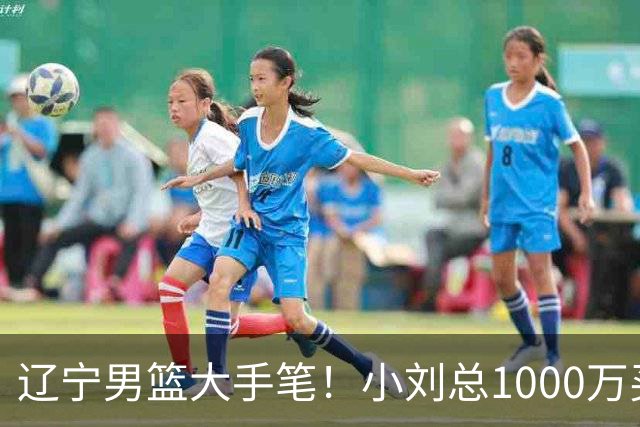 辽宁男篮大手笔！小刘总1000万买断段睿骐，4年B类合同，赵继伟接班人！